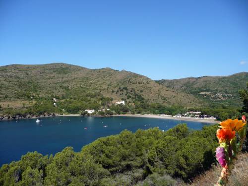 Rosen Spanien Exklusiver Rabattcode Booking.com Hotels